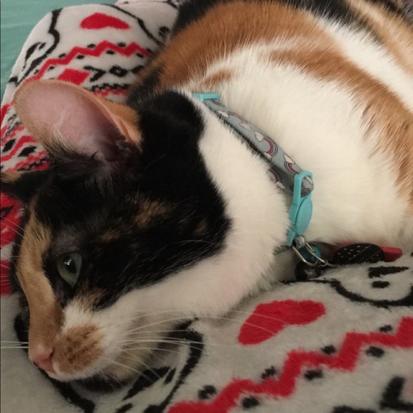 Meet your Posher, Bethany - Picture 7 of 9